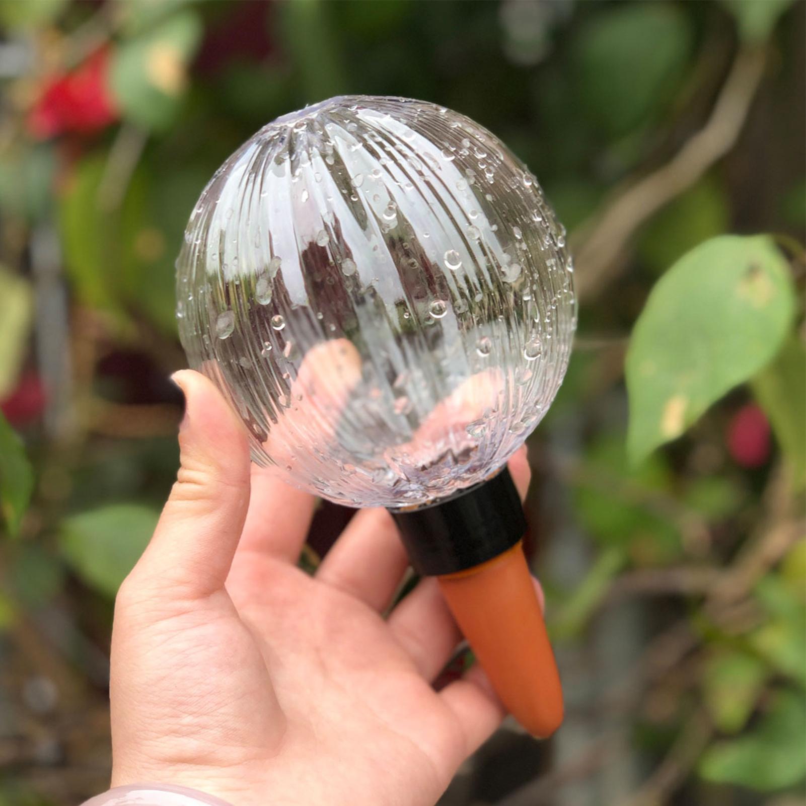 Self Watering Planter Insert 5 - Self Watering Insert 评论和价格