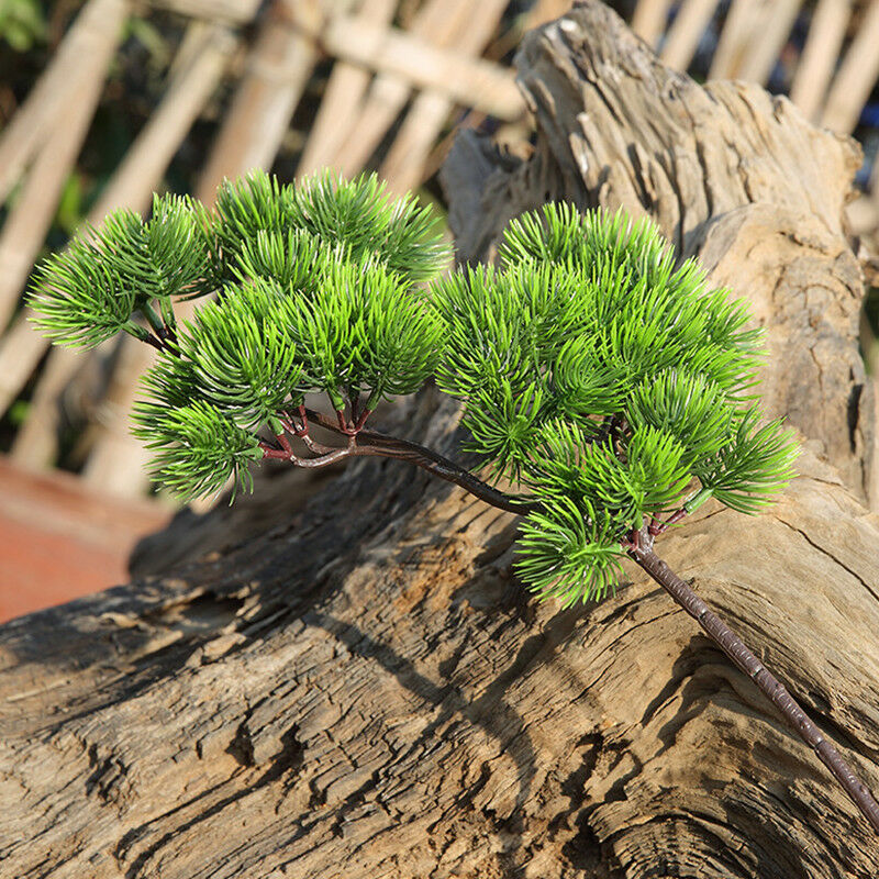 42cm Artificial Plant Pine Bra - Sphagnum Moss Dry 评论和价格