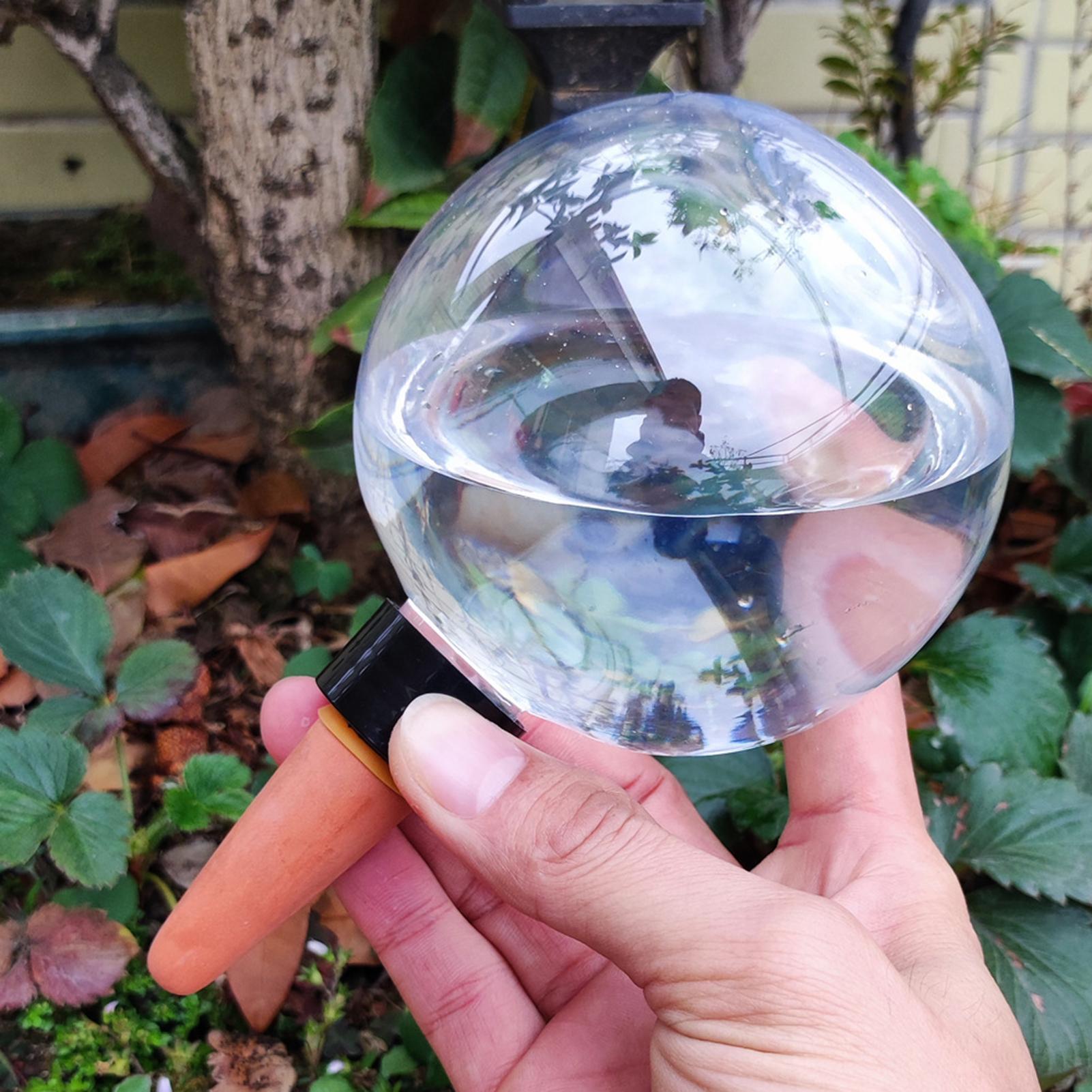 500ml Automatic Watering Globe - Self Watering Insert 评论和价格
