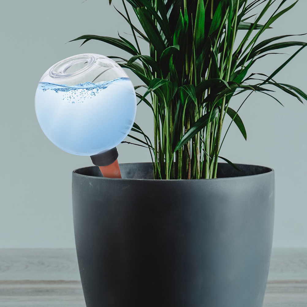 3Pcs Watering Globes Automatic - Self Watering Insert 评论和价格