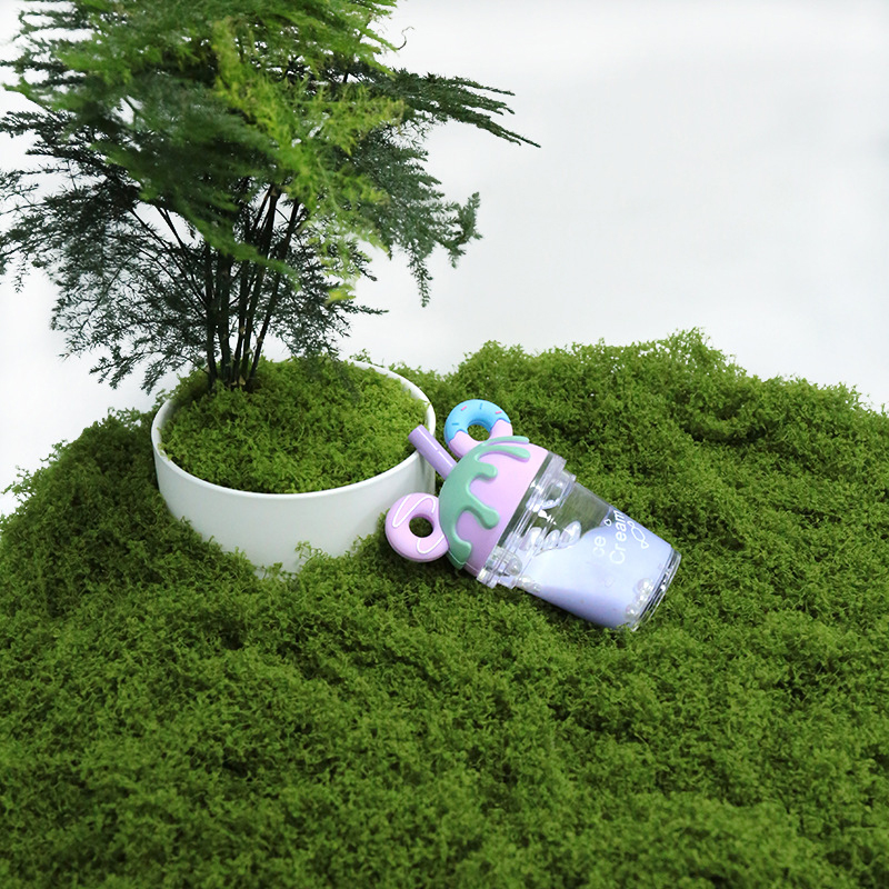 【P】50g Fake Moss DIY Crafts Gr - Sphagnum Moss Dry 评论和价格