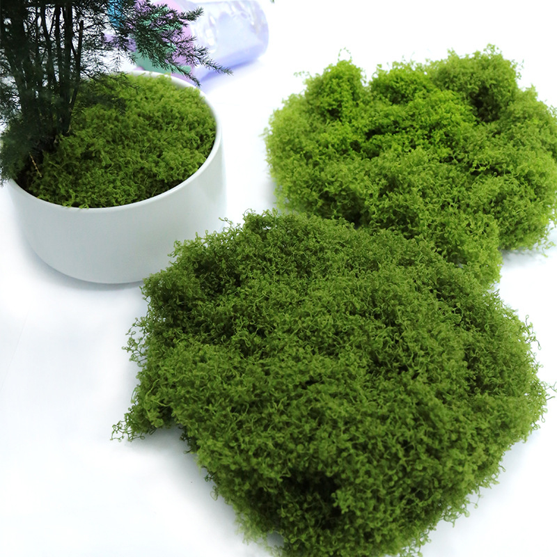 【P】50g Fake Moss DIY Crafts Gr - Sphagnum Moss Dry 评论和价格